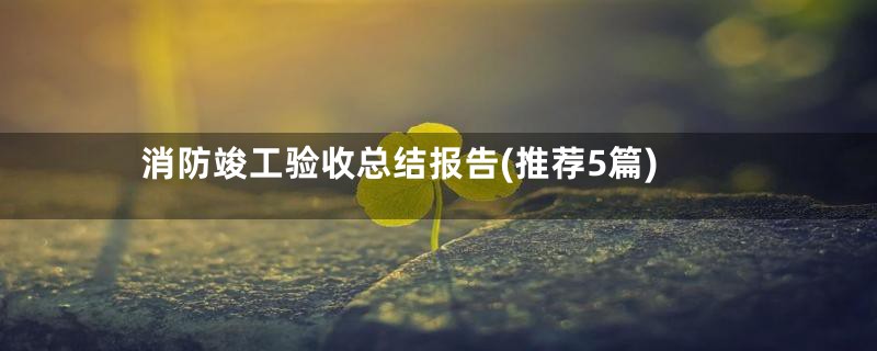 消防竣工验收总结报告(推荐5篇)
