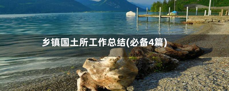 乡镇国土所工作总结(必备4篇)