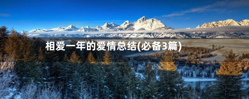 相爱一年的爱情总结(必备3篇)