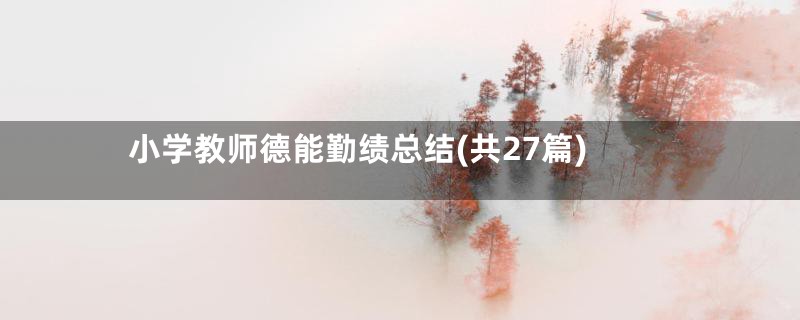 小学教师德能勤绩总结(共27篇)