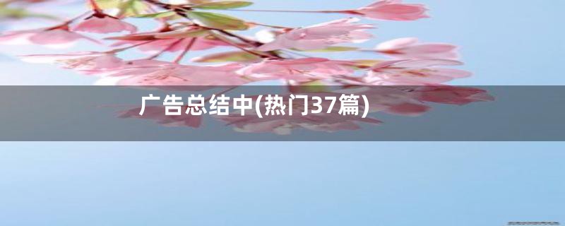 广告总结中(热门37篇)