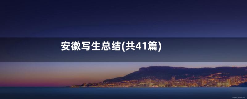 安徽写生总结(共41篇)