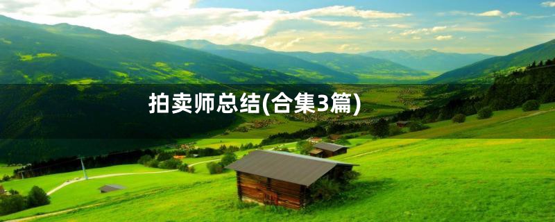 拍卖师总结(合集3篇)