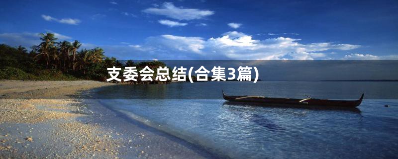 支委会总结(合集3篇)