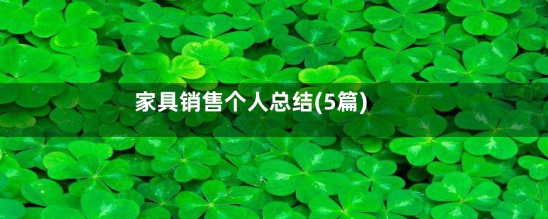 家具销售个人总结(5篇)