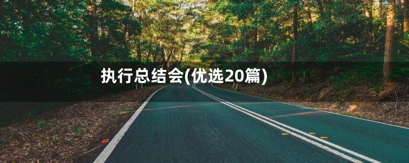 执行总结会(优选20篇)