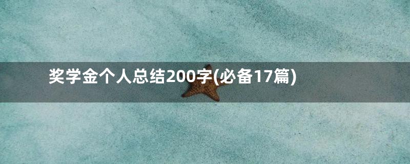 奖学金个人总结200字(必备17篇)