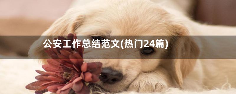 公安工作总结范文(热门24篇)
