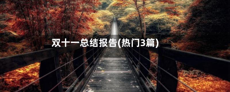 双十一总结报告(热门3篇)