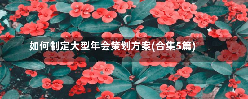 如何制定大型年会策划方案(合集5篇)