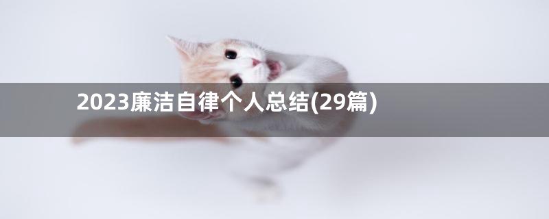 2023廉洁自律个人总结(29篇)