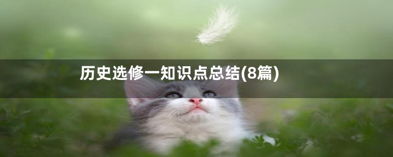 历史选修一知识点总结(8篇)
