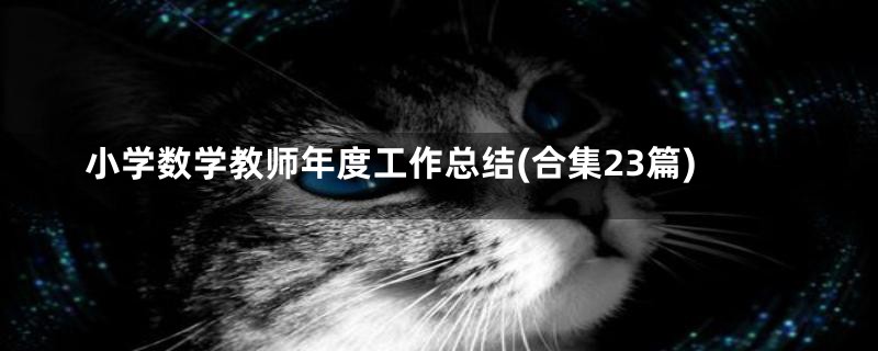小学数学教师年度工作总结(合集23篇)
