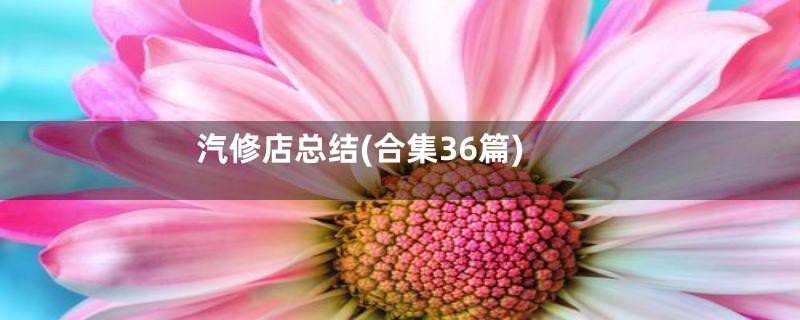 汽修店总结(合集36篇)