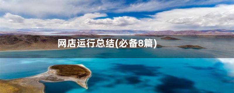 网店运行总结(必备8篇)