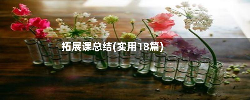 拓展课总结(实用18篇)
