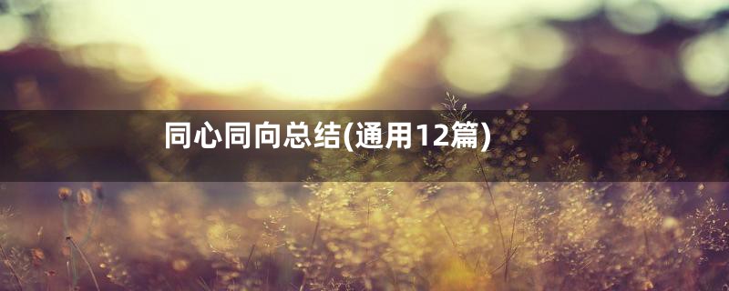 同心同向总结(通用12篇)