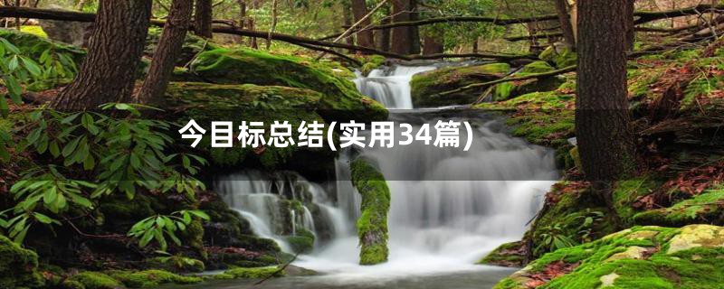 今目标总结(实用34篇)