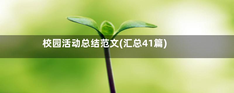 校园活动总结范文(汇总41篇)