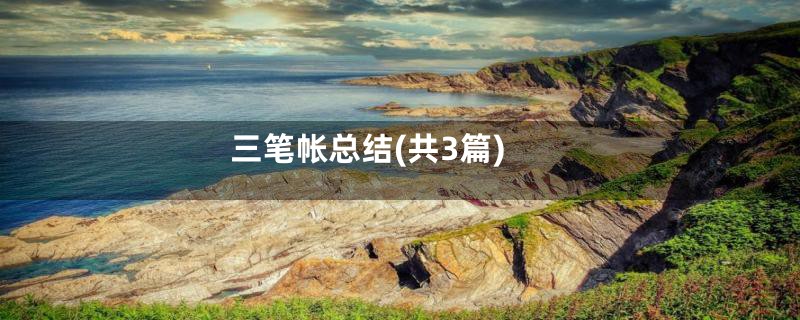 三笔帐总结(共3篇)