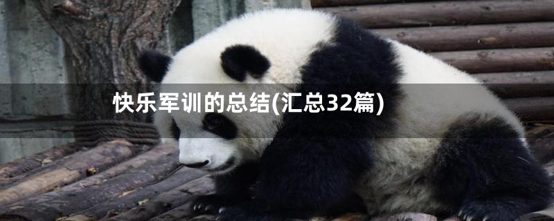 快乐军训的总结(汇总32篇)