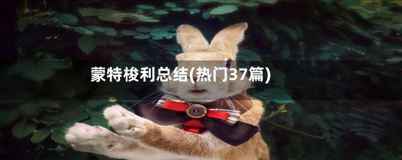 蒙特梭利总结(热门37篇)