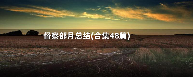督察部月总结(合集48篇)