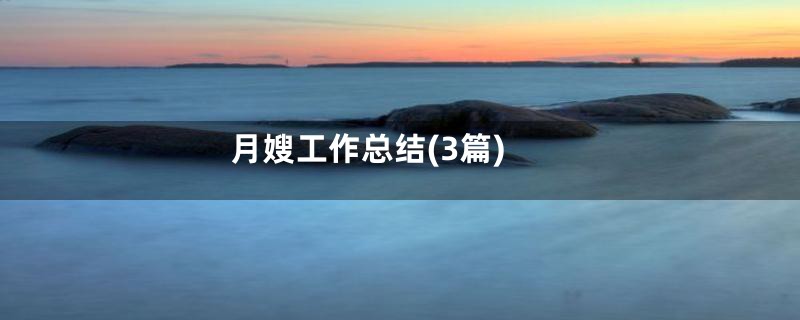 月嫂工作总结(3篇)