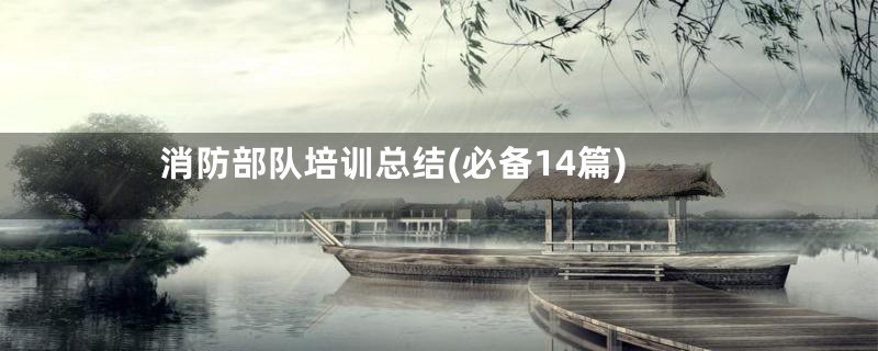 消防部队培训总结(必备14篇)