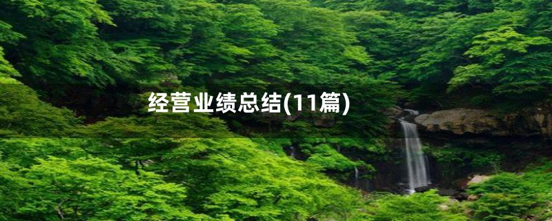 经营业绩总结(11篇)