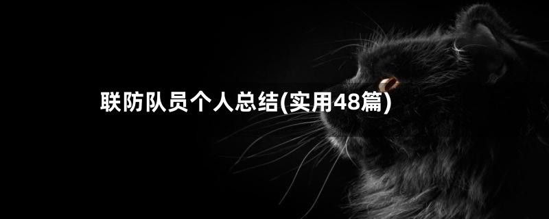 联防队员个人总结(实用48篇)