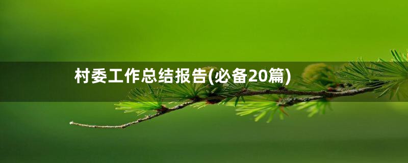村委工作总结报告(必备20篇)