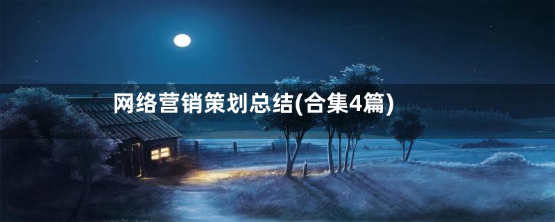 网络营销策划总结(合集4篇)