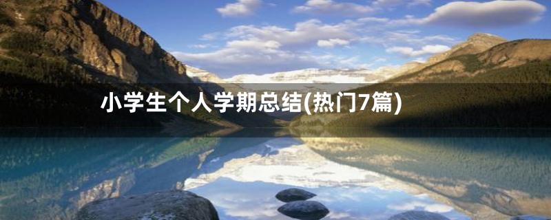 小学生个人学期总结(热门7篇)