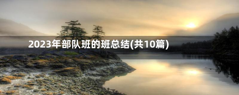 2023年部队班的班总结(共10篇)