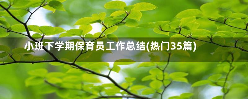 小班下学期保育员工作总结(热门35篇)