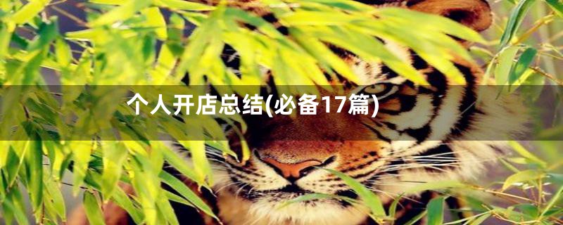 个人开店总结(必备17篇)
