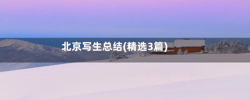 北京写生总结(精选3篇)