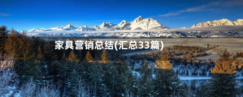 家具营销总结(汇总33篇)