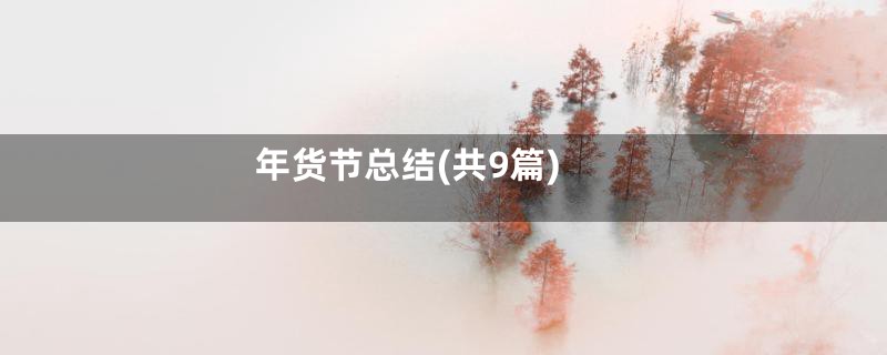 年货节总结(共9篇)