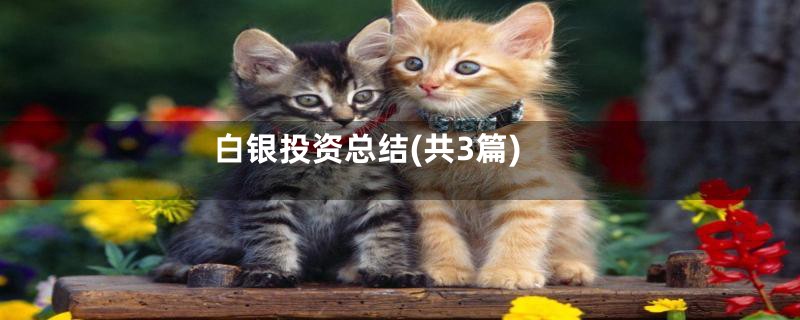 白银投资总结(共3篇)