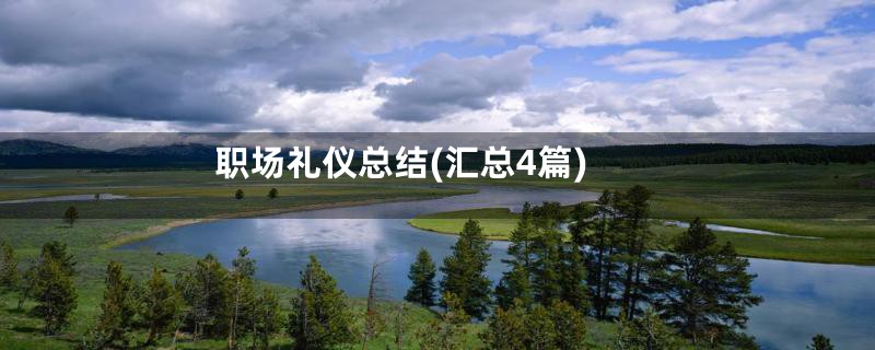 职场礼仪总结(汇总4篇)