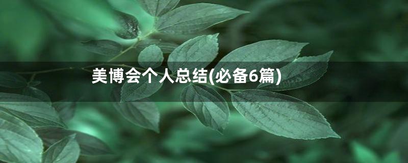 美博会个人总结(必备6篇)