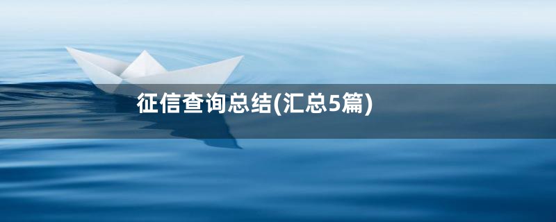 征信查询总结(汇总5篇)