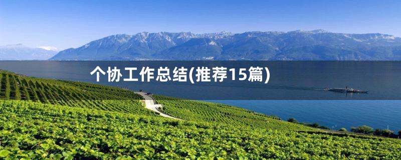 个协工作总结(推荐15篇)