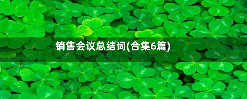 销售会议总结词(合集6篇)