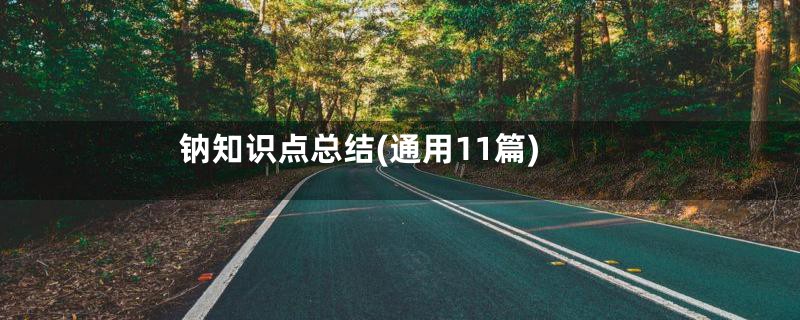 钠知识点总结(通用11篇)