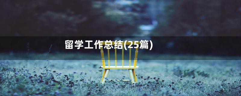 留学工作总结(25篇)