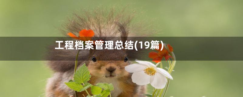 工程档案管理总结(19篇)