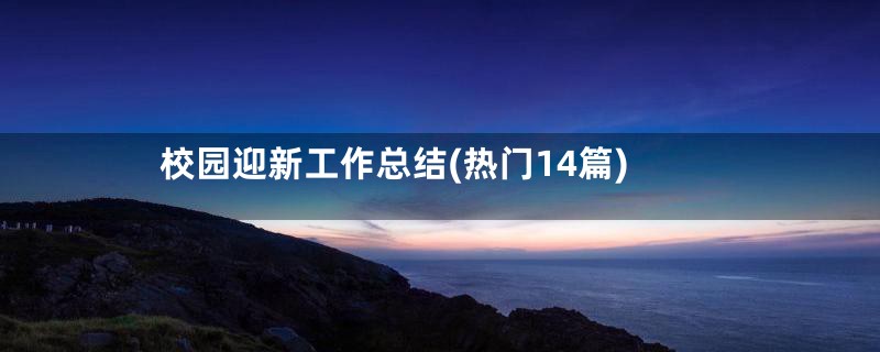 校园迎新工作总结(热门14篇)
